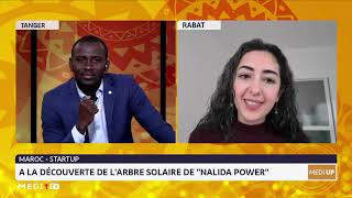 MediUP À la découverte de larbre solaire de quotNalida Powerquot [upl. by Rehtaef]