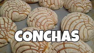 Conchas de pan tradicional mexicano [upl. by Iridis]