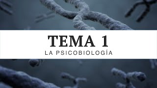 TEMA 1  Psicobiología  UNED [upl. by Nordek941]