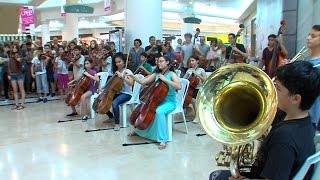 Flash Mob Beethoven 9th [upl. by Ott738]