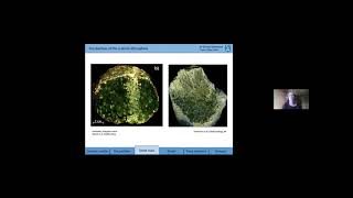 Geochemical peculiarities of the Archaean lithosphere  Tomlinson EL and Kamber BS [upl. by Elianore]