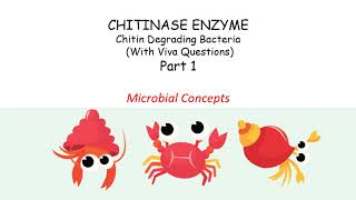 About Chitinase enzyme Part 1  Chitin degrading bacteria  MSc Microbiology practical series [upl. by Dugas237]