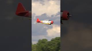 Giant Scale RC AT6 Texan’s MindBlowing Radial Engine Sound [upl. by Iccir]