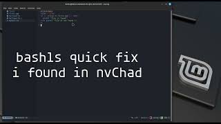 bash lsp quick fix nvChad local servers linuxmint nvchad [upl. by Anitnauq]