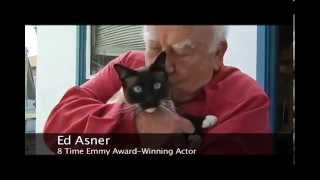 Favorite Celebrities amp Adorable Animals Dramatic amp Fun Video [upl. by Eldwun]