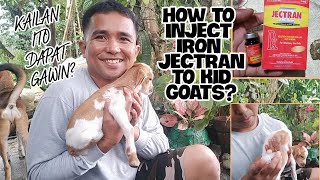 HOW TO INJECT IRON JECTRAN TO OUR KID GOATS [upl. by Velma369]