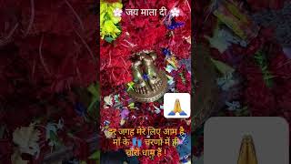 shorts reels jaimatadi jaimaavaishnodevi [upl. by Sulakcin856]