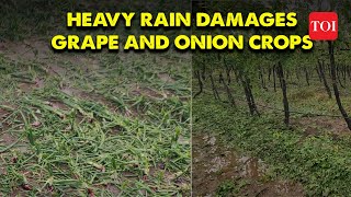 Nashik Grape vineyards and onion crops suffer extensive damage after heavy unseasonal rains [upl. by Ordisi]