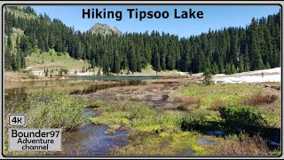 Hiking Tipsoo Lake [upl. by Korb660]