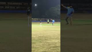 BCL tournament 2024 cricket shorts cricketlover [upl. by Adnak]