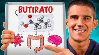 BUTIRATO impactantes CAMBIOS en tu INTESTINO y CEREBRO en POCOS DÍAS [upl. by Yssirk905]