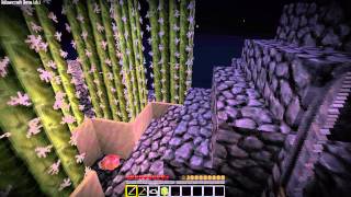 Minecraft Skyblock Survival  Episode 27 [upl. by Elidad]