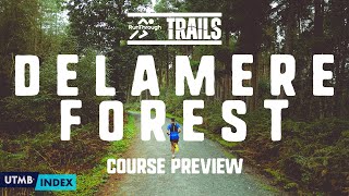 RunThrough Trails Delamere Forest Course Preview with Race Director James Tilley [upl. by Yelsehc]