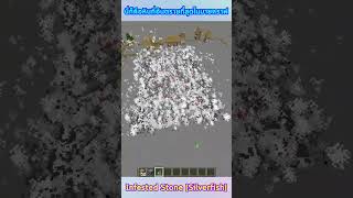 มายคราฟ  นี่ก็คือหินที่อันตรายที่สุดในเกมมายคราฟ Infested Stone Silverfish shorts minecraft [upl. by Blount]