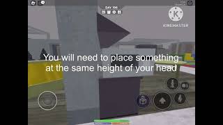 3008 272 speed glitch  Roblox [upl. by Narton842]