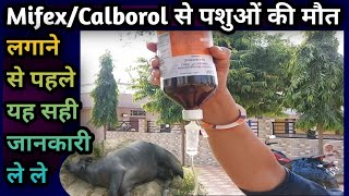 👉MifexCalborol से पशुओं की मौतइन दोनों को लगाने से पहले यह सही जानकारी ले लेंVetMedicine [upl. by Liscomb]