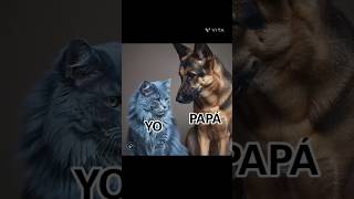 ¿Y Tu Quién Eres shorts viral popular parodia parody sketch gatoazulx97 youtubeshorts [upl. by Ybocaj386]