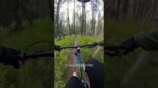 Gt aggressor pro mtb bike gtaggressorpro [upl. by Comethuauc806]