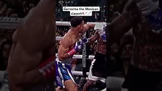 Gervonta tank Davis 🇲🇽🇲🇽🇲🇽🇲🇽 [upl. by Nibbor365]