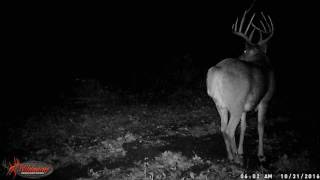 Wildgame Innovations Vision 8 Video Quality [upl. by Yks]