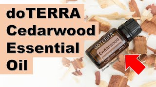 doTERRA Cedarwood Essential Oil Benefits and Uses [upl. by Snevets537]