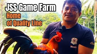 Home of Quality Line  JSS Game Farm TeamPausbong [upl. by Ytomit375]