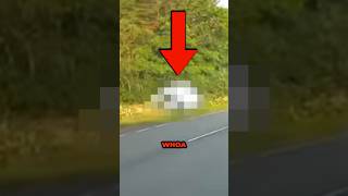 Texting Driver Nearly Causes Crash Van In Ditch 😱 dashcam roadfails textinganddriving [upl. by Tenej139]