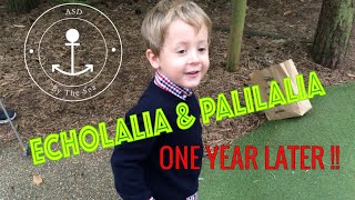 Echolalia amp Palilalia  What does Echolalia sound like  ONE YEAR LATER  ASD  Child Speech Delay [upl. by Arriaes]