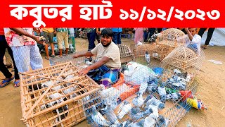 কবুতর হাট ১১১২২০২৩  kobutor hat 2023  pigeon market in bangladesh  Saroliya kobutor hat [upl. by Tarton250]