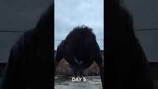 DAY 5  75 hard challenge minivlog viralvideo shorts [upl. by Aronson]