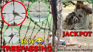 PESTCONTROL96 WILD DOVE AIRGUN HUNTING NAKA JAKPOT [upl. by Ttereve]