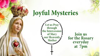 Rosary  10 June 2024  Joyful Mysteries [upl. by Anital]