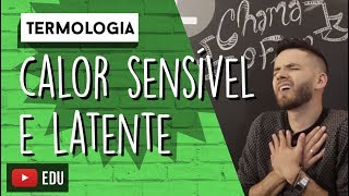 Qual é a diferença entre CALOR SENSÍVEL e CALOR LATENTE  TERMOLOGIA [upl. by Anemaj]