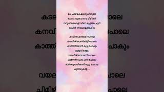 Kadalil kanmashi pole🎧💖malayalamsongs lyricsshorts malayalamlyricsbuddyshortsvideo [upl. by Carolann]