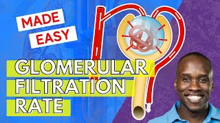 Glomerular Filtration Rate  But Easier to Understand [upl. by Jacobsen]