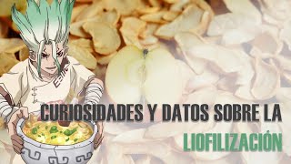 ¿Cómo se LIOFILIZAN los alimentos  Explicado en 7 minutos 🥡🏭✅ [upl. by Thibault]