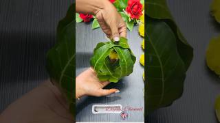 Festival decoration ideas with mango leaves  maavidakula thoranam ideas festivaldecorationideas [upl. by Juanita]