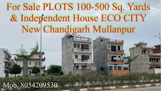 ECO City  New Chandigarh Mullapur  100500 sq Yds Plots [upl. by Wachter322]