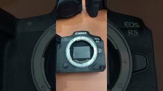 Canon R6 Mark II VS Canon R5 cuongtonnytv cuongtonny camera vuonggiangcamera [upl. by Eecyal]