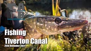 Fishing Tiverton Canal  25th November 2021 [upl. by Rosella709]