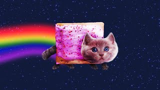 Nyan Cat IN REAL LIFE [upl. by Linehan]