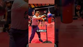 Canelo entrenando a ciegas shorts canelo [upl. by Lsil]