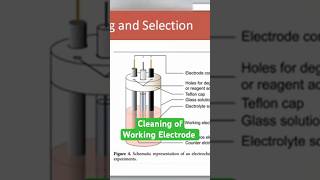 Cleaning of Working electrode in Cyclic Voltammetry cv workingelectrode [upl. by Cadmann]