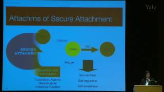 BPD MentalizationBased Therapies An Update in 2014 Lois Choi Kain 2014 HD [upl. by Johiah243]