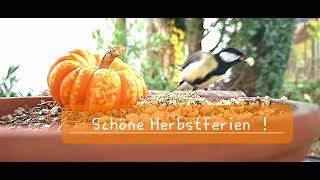 Schöne Herbstferien [upl. by Seyler560]