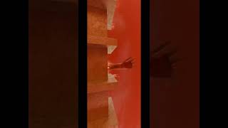 My latest animation of Attack on titan 1st apperance of collosal titan hiddencaliber thankyou [upl. by Kudva]