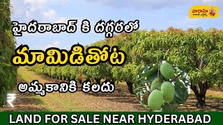 LAND FOR SALE NEAR HYDERABAD LANDFORSALE February 4 2024 [upl. by Kati695]