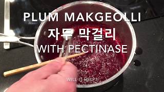 Plum makgeolli 2 pectinase 자두 막걸리 homebrew Korean rice wine [upl. by Andie]