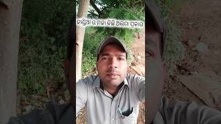 ହାଣ୍ଡିଆ ର ମଜା ଅଲଗା shortvideos comedy funnycomedy [upl. by Assyl]