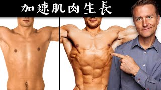 快速增長肌肉4種驚奇方法刺激生長激素柏格醫生 Dr Berg [upl. by Marko]